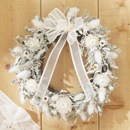 �h���C�t�����[���[�X�u�E�G���J�����[�X�v