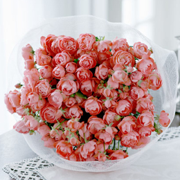 �N���V�b�N���[�Y�u�X�v���[���[�Y�v