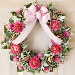 �h���C�t�����[�u�t���[���E�N���E���v