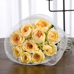 �N���V�b�N���[�Y�u�L���������A���e�B�[�N�v