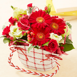�A�����W�����g�u�J�W���A���E�o�b�O�@�`Bright�@Red�`�v