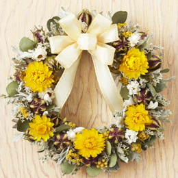 �h���C�t�����[�u�C�G���[�E�N���E���v