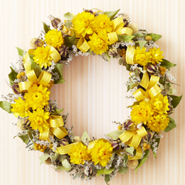 �h���C�t�����[�u�K���̃C�G���[���[�X�v