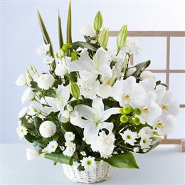 �A�����W�����g�uRemember�@�`�ÂԎv���`�v
