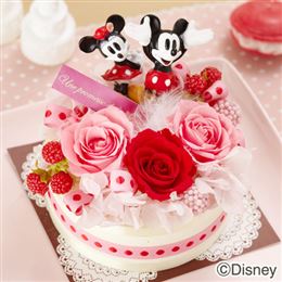 �f�B�Y�j�[�v���U�[�u�h�t�����[�u�X�}�C���o�[�X�f�[�v