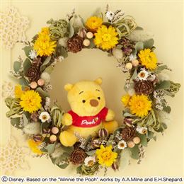 �f�B�Y�j�[�h���C�t�����[�u�v�[����̃n�j�[�c���[�v