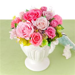 �v���U�[�u�h�t�����[�u�R���`�F���g�E���[�Y�`�X�g���x���[�~���N�`�v