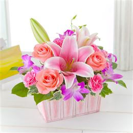 �A�����W�����g�u�t�����[�E�V���t�H�j�[�v