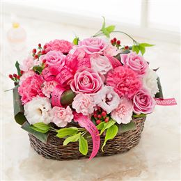 �A�����W�����g�u�t�������[�E�s���N�v