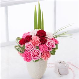 �A�����W�����g�u���f�B�E���C�N�v