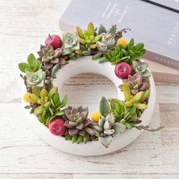 寄せ植え「フレッシュリング」 寄せ植え「フレッシュリング」