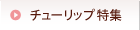 �`���[���b�v���W