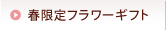 �t����t�����[�M�t�g