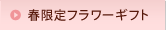 �t����t�����[�M�t�g