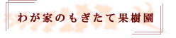 わが家のもぎたて果樹園