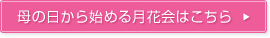 ��̓�����n�߂錎�ԉ�͂�����