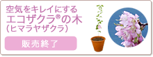 ��C���L���C�ɂ��� �G�R�U�N���̖� �i�q�}�����U�N���j�w���y�[�W��