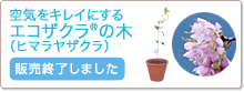 ��C���L���C�ɂ��� �G�R�U�N���̖� �i�q�}�����U�N���j�̔��I�����܂���