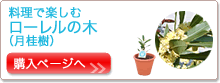 �w���y�[�W��