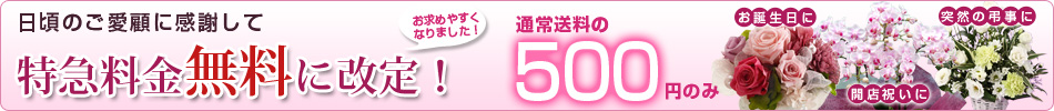 9�����蓖���o�C�N�ց@���}���������L�����y�[��