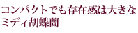 �R���p�N�g�ł����݊��͑傫�ȃ~�f�B�Ӓ���