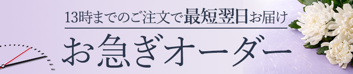 13時までのご注文で最短翌日お届け お急ぎオーダー