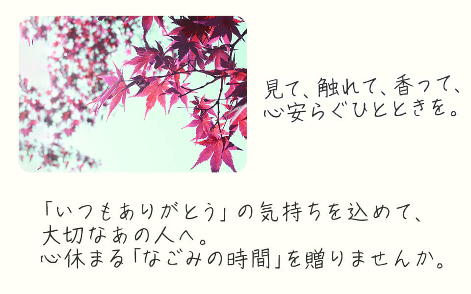 見て、触れて、香って、心安らぐひとときを。「いつもありがとう」の気持ちを込めて、大切なあの人へ。心休ませる「なごみの時間」を贈りませんか。