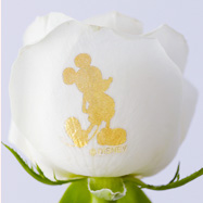 Mickey�̃V���G�b�g