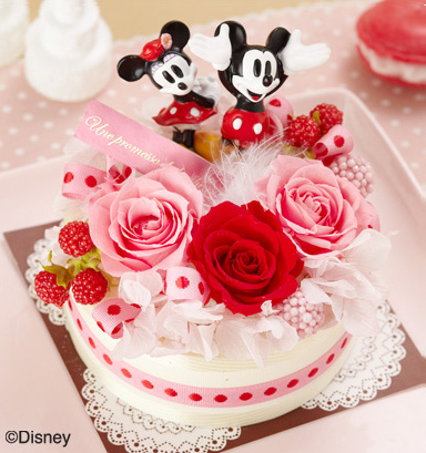 �f�B�Y�j�[ �v���U�[�u�h�t�����[�u�X�}�C���o�[�X�f�[�v
