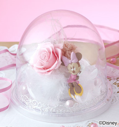 �f�B�Y�j�[�v���U�[�u�h�t�����[�u�����f�B�[�E�h�[���`���~���Ɂ`�v