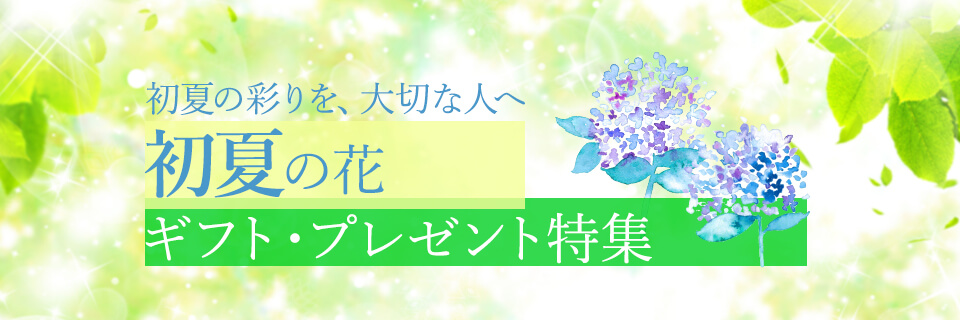 初夏の花ギフト・プレゼント特集