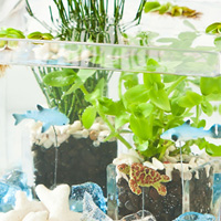 父の日のイメージ画像