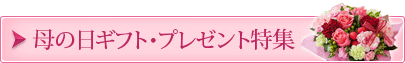 母の日ギフト・プレゼント特集2017 受付期間:5/12(金)11:00まで、お届け期間:5/10~5/14 母の日ギフト・プレゼント特集2017 受付期間:5/12(金)11:00まで、お届け期間:5/10~5/14