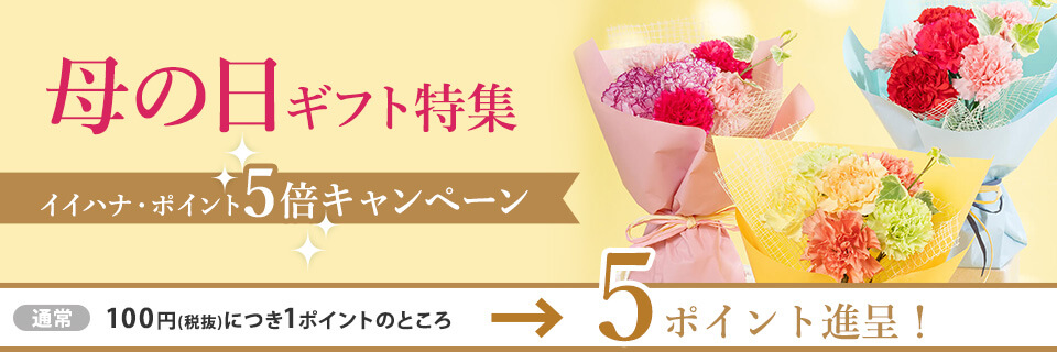 イイハナ・ポイント5倍キャンペーン