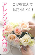 コツを覚えてお花イキイキ!アレンジメント入門
