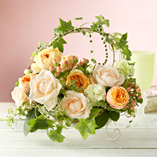�f�U�C�i�[�⋴�A�����W�u�L�b�`���E�p�[�e�B�[�v