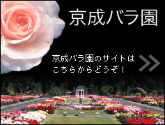�����o�����̃T�C�g�͂����炩��ǂ����I�i�ʃE�B���h�E�ŊJ���܂��j