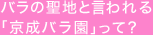 �o���̐��n�ƌ����� �u�����o�����v���āH