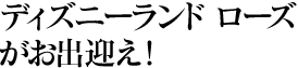�f�B�Y�j�[�����h���[�Y�����o�}���I