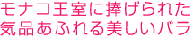 ���i�R����������ꂽ�C�i���ӂ���������