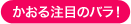 �����钍�ڂ̃o���I