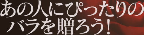 ���̐l�ɂ҂�����̃o���𑡂낤�I