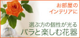 �������̃C���e���A�ɁB�I�ԕ��̌�������o���Ɗy���މԊ�