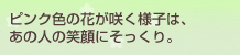 �s���N�F�̉Ԃ��炭�l�q�́A���̐l�̏Ί�ɂ�������B