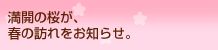 ���J�̍����A�t�̖K������m�点�B