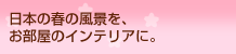 ���{�̏t�̕��i���A�������̃C���e���A�ɁB