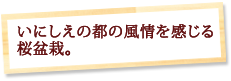 ���ɂ����̓s�̕������������~�́B