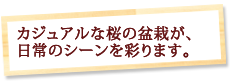 �J�W���A���ȍ��̖~�͂��A����̃V�[�����ʂ�܂��B