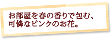 ���������t�̍���ŕ�ށA���ȃs���N�̂��ԁB