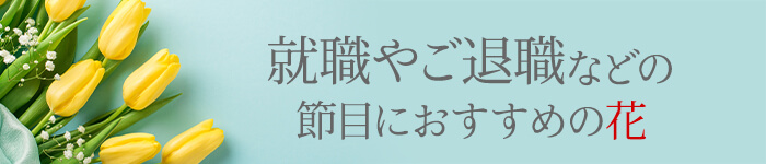 就職・退職祝いにおすすめの花